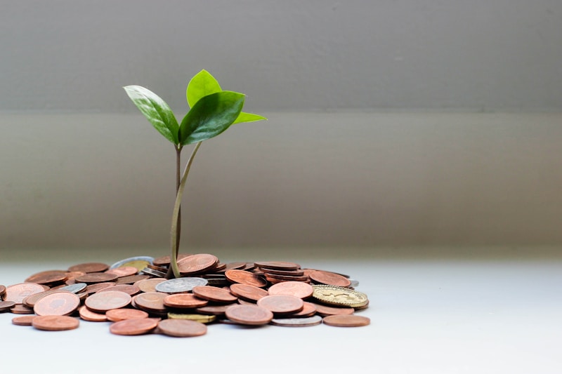 Fund Management